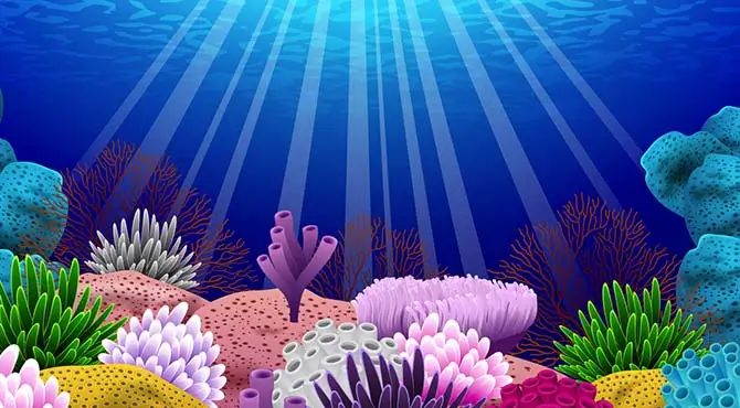 Coral Island